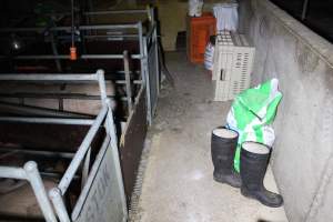 Farrowing Crates at Aroora Piggery SA - Captured at Aroora Enterprises Piggery, Jervois SA Australia.