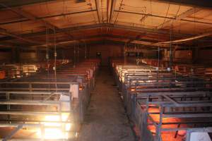 Farrowing Crates at Balpool Station Piggery NSW - Looking down aisle of farrowing shed - Captured at Balpool Station Piggery, Niemur NSW Australia.