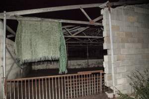 Empty grower shed - After closure of farm - Captured at Wally's Piggery, Jeir NSW Australia.