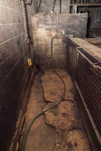 Empty slaughter room - After closure of farm. This is the area where Wally bludgeoned his pigs to death. - Captured at Wally's Piggery, Jeir NSW Australia.