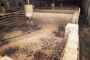 Empty grower/finisher pens - After closure of farm - Captured at Wally's Piggery, Jeir NSW Australia.