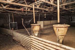 Empty pens - After closure of farm - Captured at Wally's Piggery, Jeir NSW Australia.