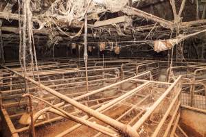 Empty farrowing shed - After closure of farm - Captured at Wally's Piggery, Jeir NSW Australia.