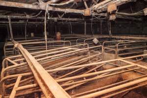 Empty farrowing shed - After closure of farm - Captured at Wally's Piggery, Jeir NSW Australia.