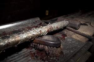 Sledgehammer in slaughter room - The sledgehammer Wally used to bludgeon his pigs - Captured at Wally's Piggery, Jeir NSW Australia.