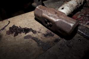 Sledgehammer in slaughter room - The sledgehammer Wally used to bludgeon his pigs - Captured at Wally's Piggery, Jeir NSW Australia.