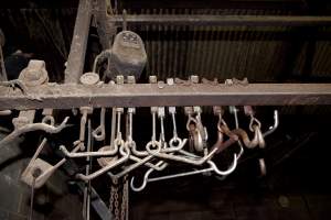 Shackles for hanging pigs - In Wally's slaughter room - Captured at Wally's Piggery, Jeir NSW Australia.