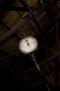 Scales for weighing pig carcasses - In Wally's slaughter room - Captured at Wally's Piggery, Jeir NSW Australia.