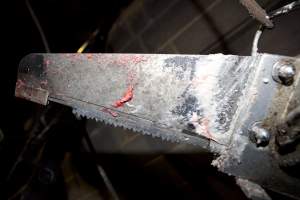 Chainsaw covered in blood and chunks of flesh - Australian pig farming - Captured at Wally's Piggery, Jeir NSW Australia.