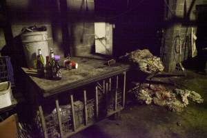 Beer bottles with pile of guts in background - Australian pig farming - Captured at Wally's Piggery, Jeir NSW Australia.