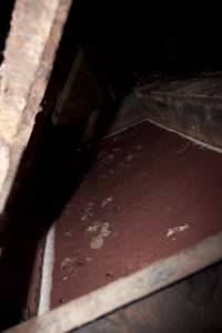 Scalding tank with congealed blood - Australian pig farming - Captured at Wally's Piggery, Jeir NSW Australia.