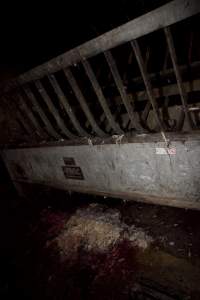 Scalding tank with pile of fur and skin underneath - Australian pig farming - Captured at Wally's Piggery, Jeir NSW Australia.