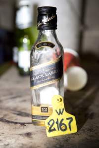 Whisky in slaughter room - Australian pig farming - Captured at Wally's Piggery, Jeir NSW Australia.