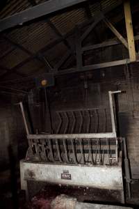 Scalding tank in slaughter room - Australian pig farming - Captured at Wally's Piggery, Jeir NSW Australia.