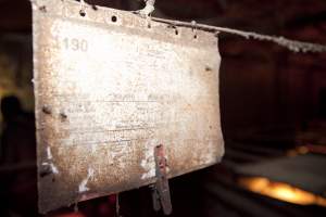 Records above farrowing crate - Australian pig farming - Captured at Wally's Piggery, Jeir NSW Australia.