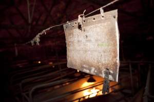 Records above farrowing crate - Australian pig farming - Captured at Wally's Piggery, Jeir NSW Australia.