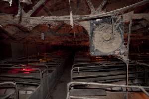 Looking across farrowing shed - Fan covered in cobwebs - Captured at Wally's Piggery, Jeir NSW Australia.