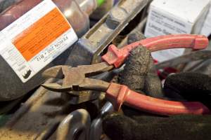 Tool for cutting piglets' tails and teeth - Australian pig farming - Captured at Wally's Piggery, Jeir NSW Australia.