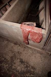 Used gloves - Australian pig farming - Captured at Wally's Piggery, Jeir NSW Australia.