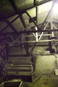 Scalding tank in slaughter room - Australian pig farming - Captured at Wally's Piggery, Jeir NSW Australia.