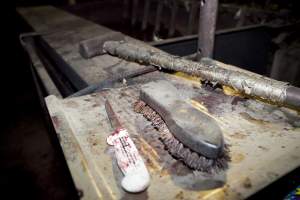 Knife and sledgehammer in slaughter room - Australian pig farming - Captured at Wally's Piggery, Jeir NSW Australia.