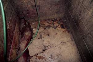 Blood on floor of slaughter room - This is the area where Wally bludgeoned and killed his pigs - Captured at Wally's Piggery, Jeir NSW Australia.