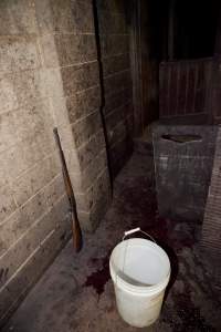 Rifle propped against wall of slaughter room - Australian pig farming - Captured at Wally's Piggery, Jeir NSW Australia.