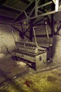 Scalding tank in slaughter room - Australian pig farming - Captured at Wally's Piggery, Jeir NSW Australia.