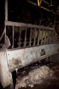 Pile of fur and skin under scalding tank - Australian pig farming - Captured at Wally's Piggery, Jeir NSW Australia.