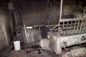 Scalding tank in slaughter room - Australian pig farming - Captured at Wally's Piggery, Jeir NSW Australia.