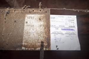 Record above farrowing crate - Australian pig farming - Captured at Wally's Piggery, Jeir NSW Australia.