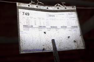 Record above farrowing crate - Australian pig farming - Captured at Wally's Piggery, Jeir NSW Australia.