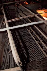 Empty farrowing crate - Australian pig farming - Captured at Wally's Piggery, Jeir NSW Australia.