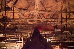 Looking down aisle of farrowing shed - Ceiling covered in cobwebs - Captured at Wally's Piggery, Jeir NSW Australia.