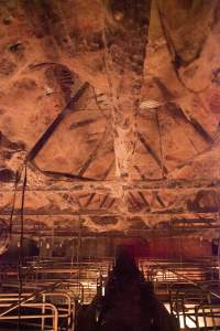 Looking down aisle of farrowing shed - Ceiling covered in cobwebs - Captured at Wally's Piggery, Jeir NSW Australia.