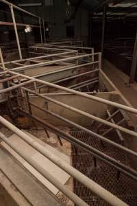 Empty farrowing shed - Closed and empty - Captured at Tennessee Piggery, Kingsvale NSW Australia.