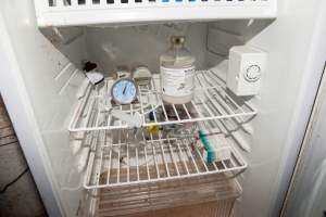 Injections for piglets in fridge - Piggery closed and empty - Captured at Tennessee Piggery, Kingsvale NSW Australia.