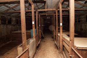 Empty grower pens - Piggery closed and empty - Captured at Tennessee Piggery, Kingsvale NSW Australia.