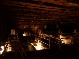 Farrowing crates at Allains Piggery NSW - Australian pig farming - Captured at Allain's Piggery, Blakney Creek NSW Australia.