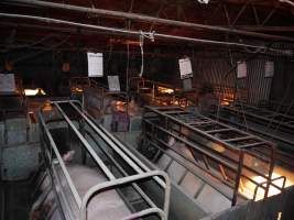 Farrowing crates at Allains Piggery NSW - Australian pig farming - Captured at Allain's Piggery, Blakney Creek NSW Australia.