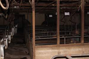 Farrowing crates at Strathvean Piggery NSW - Australian pig farming - Captured at Strathvean Piggery, Tarcutta NSW Australia.