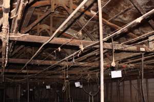 Ceiling of farrowing shed - Australian pig farming - Captured at Strathvean Piggery, Tarcutta NSW Australia.