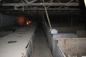 Farrowing crates at Strathvean Piggery NSW - Australian pig farming - Captured at Strathvean Piggery, Tarcutta NSW Australia.