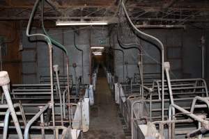 Farrowing crates at Boen Boe Stud Piggery NSW - Australian pig farming - Captured at Boen Boe Stud Piggery, Joadja NSW Australia.