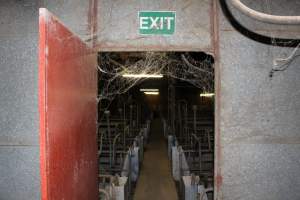 Farrowing crates at Boen Boe Stud Piggery NSW - Australian pig farming - Captured at Boen Boe Stud Piggery, Joadja NSW Australia.