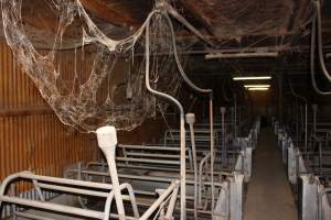 Farrowing crates at Boen Boe Stud Piggery NSW - Australian pig farming - Captured at Boen Boe Stud Piggery, Joadja NSW Australia.