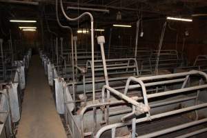 Farrowing crates at Boen Boe Stud Piggery NSW - Australian pig farming - Captured at Boen Boe Stud Piggery, Joadja NSW Australia.