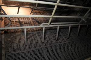 Empty farrowing crate - Australian pig farming - Captured at Wongalea Piggery, Quinalow QLD Australia.