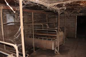 Farrowing crates at Cumbijowa Piggery NSW - Australian pig farming - Captured at Cumbijowa Piggery, Cumbijowa NSW Australia.