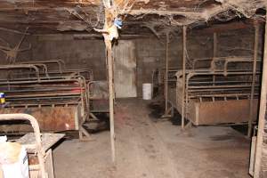 Farrowing crates at Cumbijowa Piggery NSW - Australian pig farming - Captured at Cumbijowa Piggery, Cumbijowa NSW Australia.